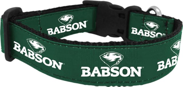 Babson College Dog Collar