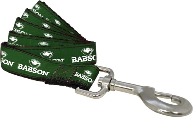 Babson College 6 FT Dog Leash