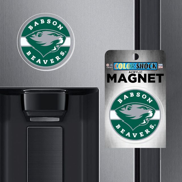 Babson College 7'' Magnet