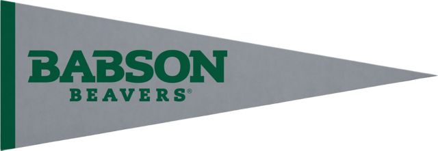 Babson College 5x15 Pennant