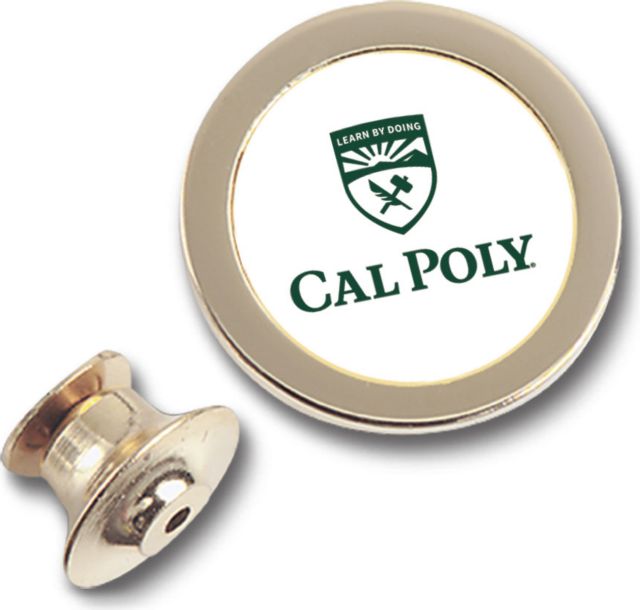 CSI Gold Lapel Pin With Colored Medallian - ONLINE ONLY