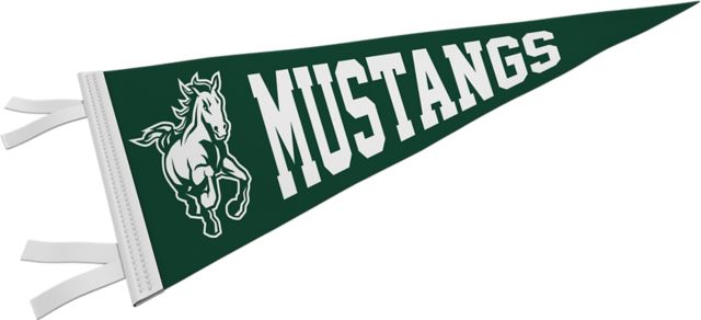 Cal Poly Mustangs 9'' x 24'' Pennant