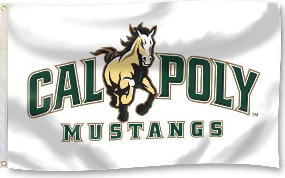 Cal Poly 3'x5' Durawave Flag
