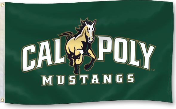 Cal Poly 3'x5' Flag