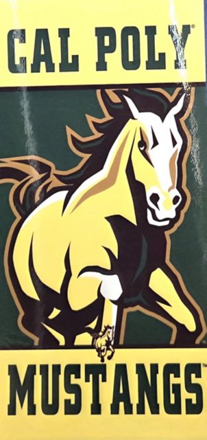 Cal Poly 30X60 Beach Towel
