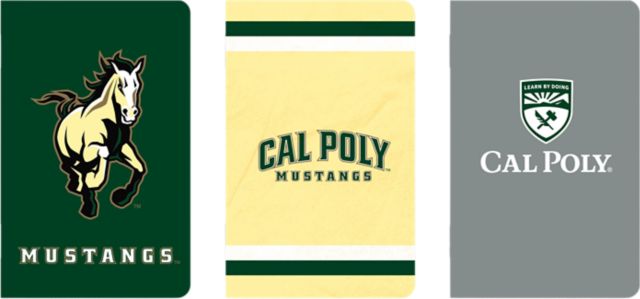Cal Poly 3 Pack Mini Notebook