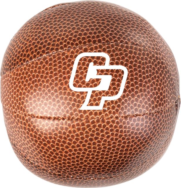 Cal Poly Micro Soft Basketball