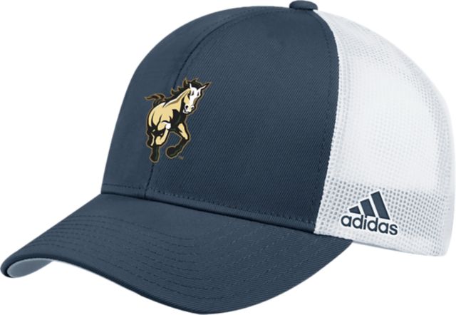 Cal Poly Mustangs Adjustable Mesh Back Cap: Cal Poly