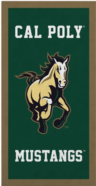 Cal Poly Mustangs 18" x 36" Banner