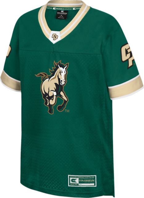 Cal Poly Nothing but the Hits Youth Football Jersey