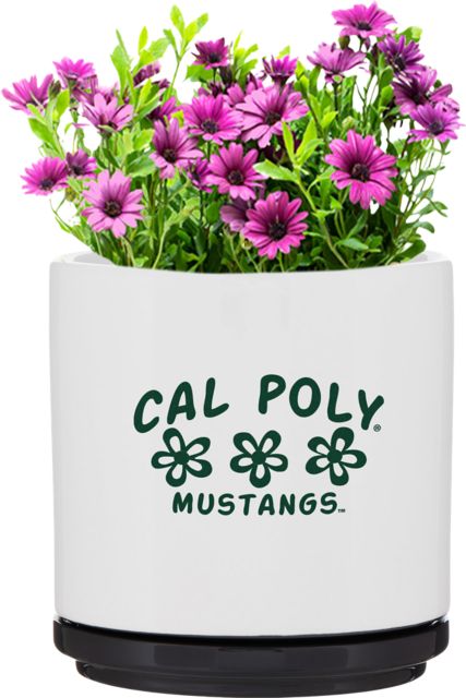 Cal Poly Mustangs Flower Ceramic Planter