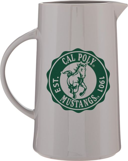 Cal Poly Pitcher