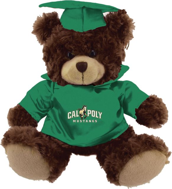 Cal Poly 12'' Graduation Bear - Chocolate - ONLINE ONLY