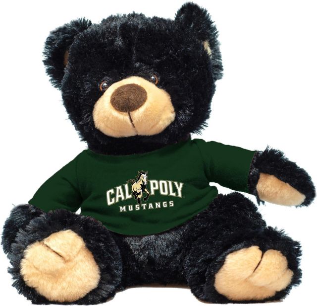 Cal Poly 12'' Plush Noah Bear - Black - ONLINE ONLY