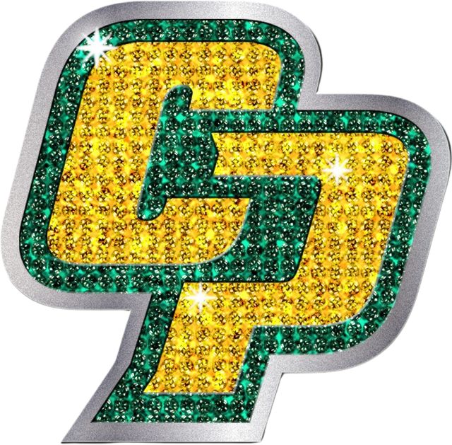 Chelsea Taylor® Custom Crystal Brooch