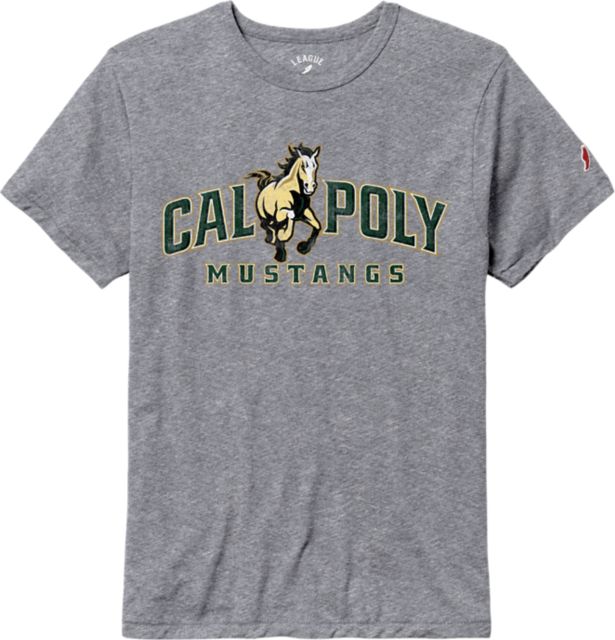 Cal Poly Victory Falls Short Sleeve T-Shirt