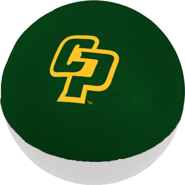 Cal Poly 6'' Foam Basketball
