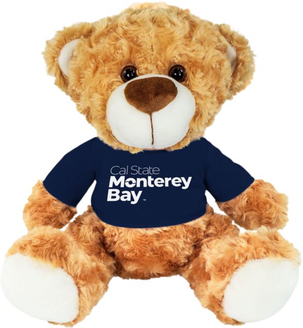 California State University Monterey Bay 10 in. Plush Bear