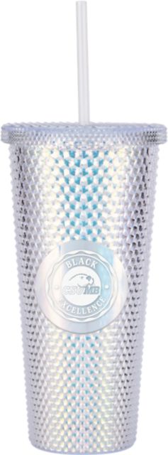 California State University Monterey Bay DEAN VANESSA BLACK EXCELLENCE CHALLIS