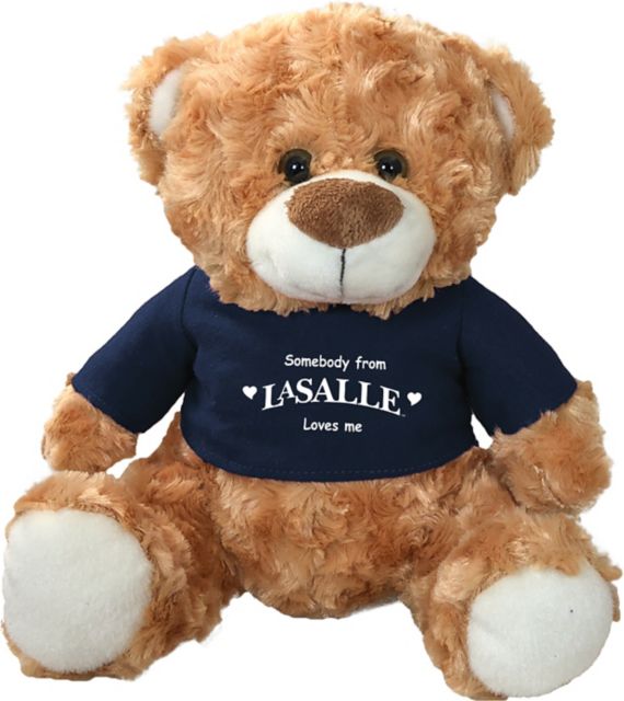 Product Detail  LAS VEGAS RAIDERS 10 INCH PLUSH BEAR