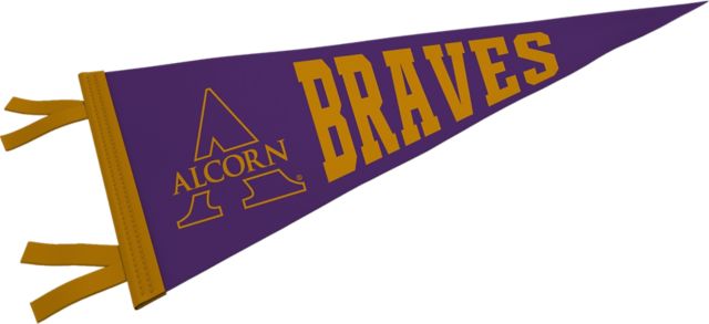 Alcorn State University Braves College Mom Womens T-Shirt Purple Small