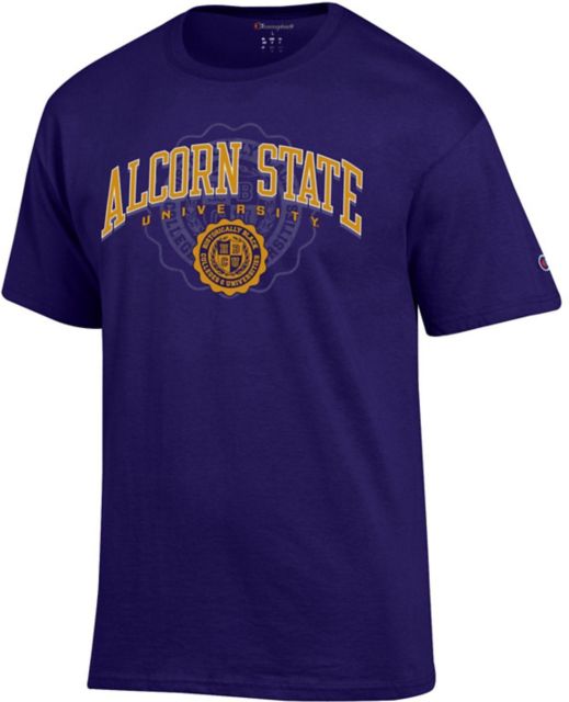 Youth Champion Purple Alcorn State Braves Jersey Long Sleeve T-Shirt