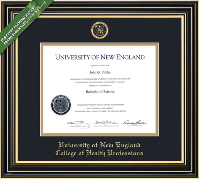 University of New England at Westbrook College 14" x 17" Windsor Diploma Frame