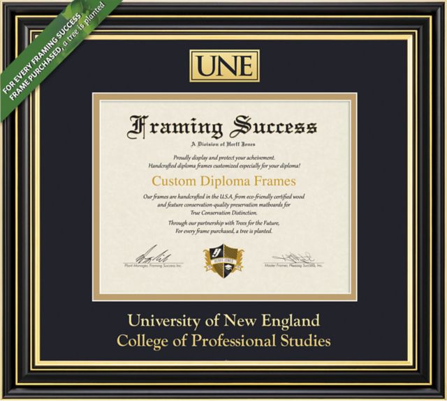 University of New England at Westbrook College 14" x 18" Prestige Diploma Frame