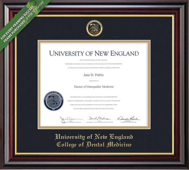 University of New England at Westbrook College 14" x 17" Windsor Diploma Frame