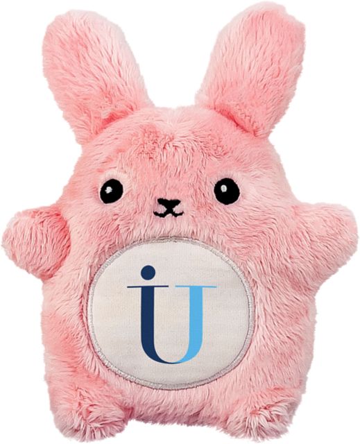 Immaculata University 4.5'' Fancake Plush