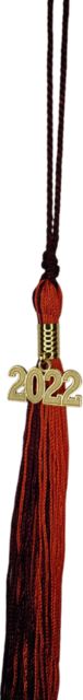 Souvenir Tassel