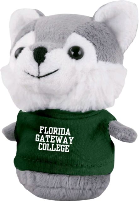 Florida Gateway College Shorties