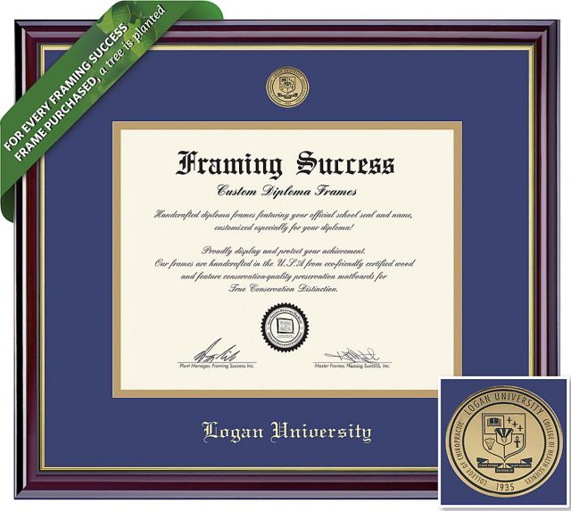 Logan University 11'' x 14'' Windsor Diploma Frame
