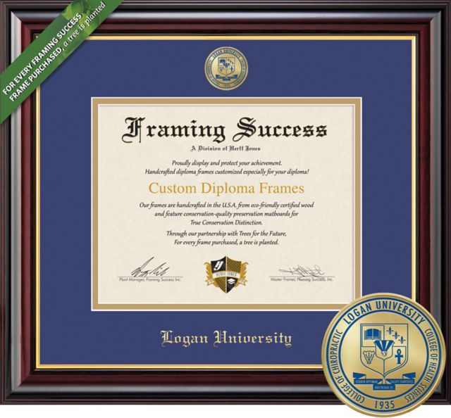 Logan University 11'' x 14'' Windsor Diploma Frame