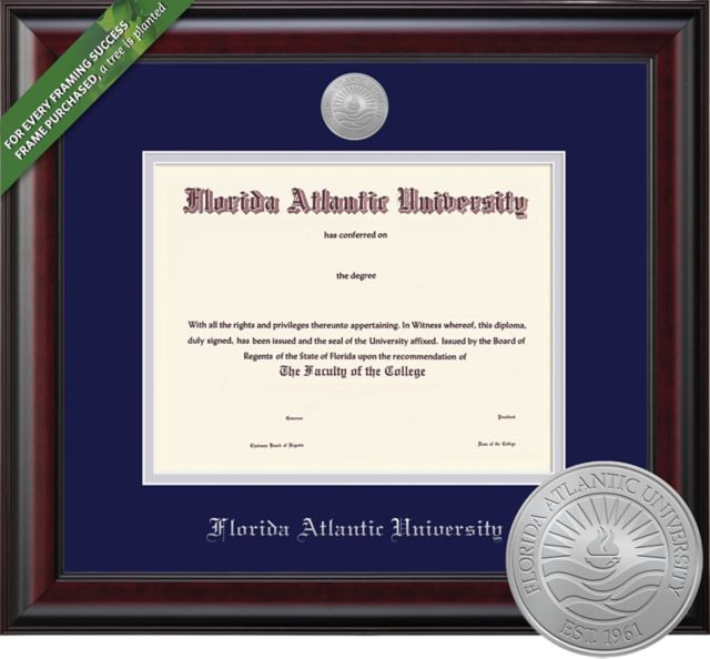 Framing Success Classic 8.5 x 11 BA/MA Diploma with Double mat and Medallion