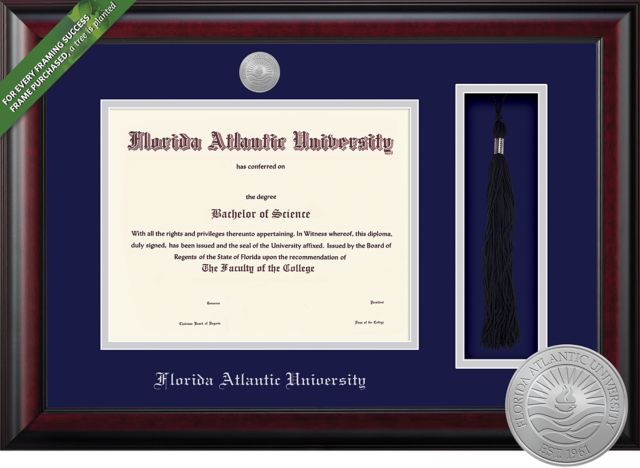 Framing Success Classic 8.5 x 11 BA/MA Diploma and Tassel Cut-out with Double mat and Medallion