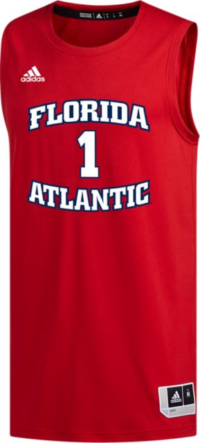 Hot] Florida Atlantic Owls Basketball Jersey