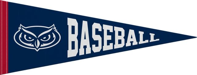 Florida Atlantic University Owls Baseball 9x24 Pennant
