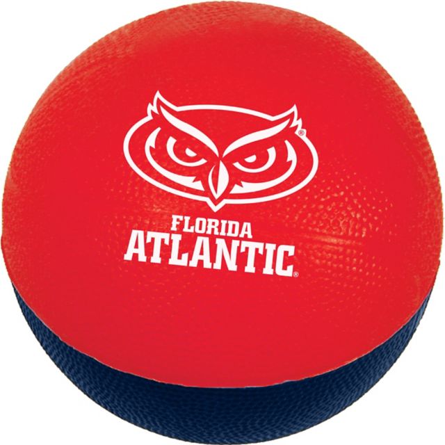 Large 6 Foam Basketball