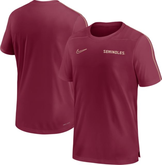 Florida State University Nike Air Zoom Pegasus 40 Shoes