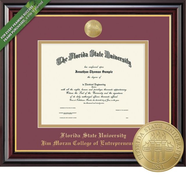 Framing Success Windsor 11 x 14 Diploma with Medallion and Double mat - ONLINE ONLY