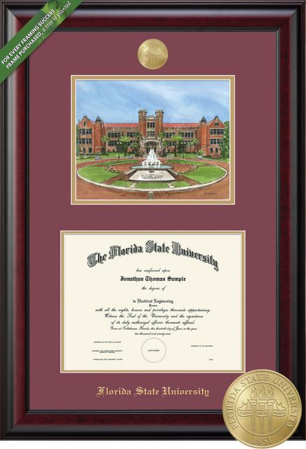 Framing Success Classic 11 x 14 Diploma and Lithograph with Double mat and Medallion