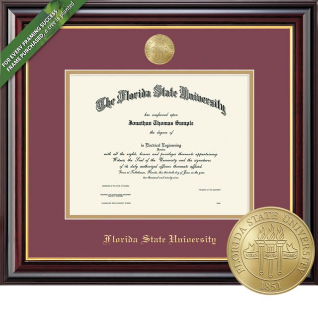 Framing Success Windsor 11 x 14 Diploma with Double mat and Medallion