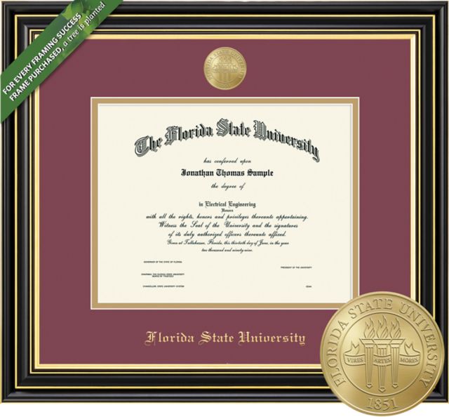 Framing Success Prestige 11 x 14 Diploma with Double mat and Medallion