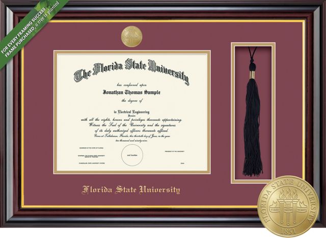 Framing Success Windsor 11 x 14 Diploma and Tassel Cut-out with Double mat and Medallion