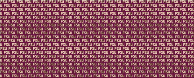 Florida State University 10" Wrapping Paper