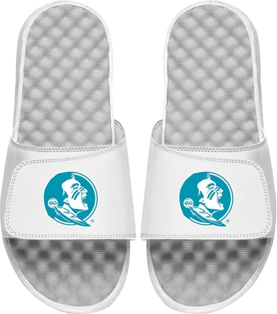 Florida State University Seminoles Slides