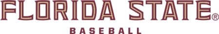 Florida State Medium Decal Florida State Baseball - ONLINE ONLY