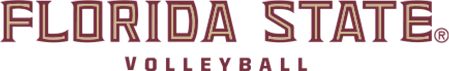 Florida State Medium Decal Florida State Volleyball - ONLINE ONLY