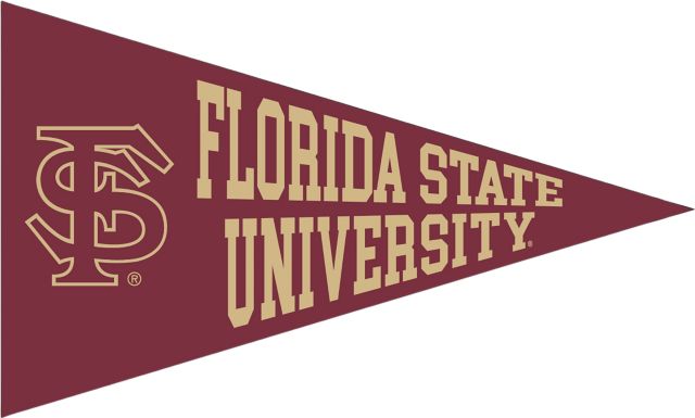 Florida State University Mini Magnet Pennant